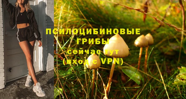 кокс Гусиноозёрск