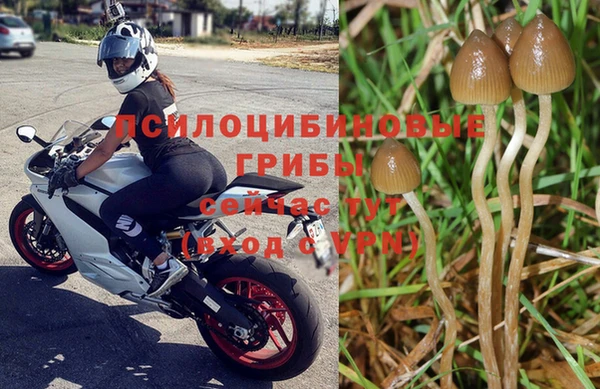 каннабис Дмитриев