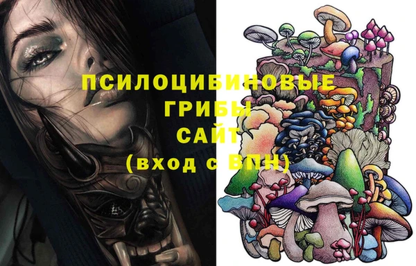 крисы Гусь-Хрустальный