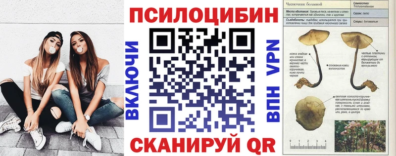 где купить наркоту Лысьва Псилоцибиновые грибы Magic Shrooms
