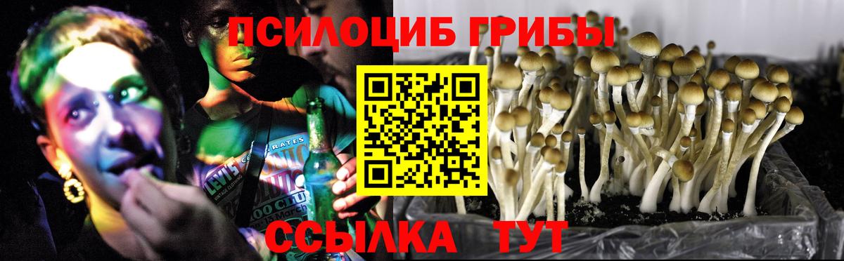 Лысьва  Псилоцибиновые грибы Psilocybe  Вход с VPN 